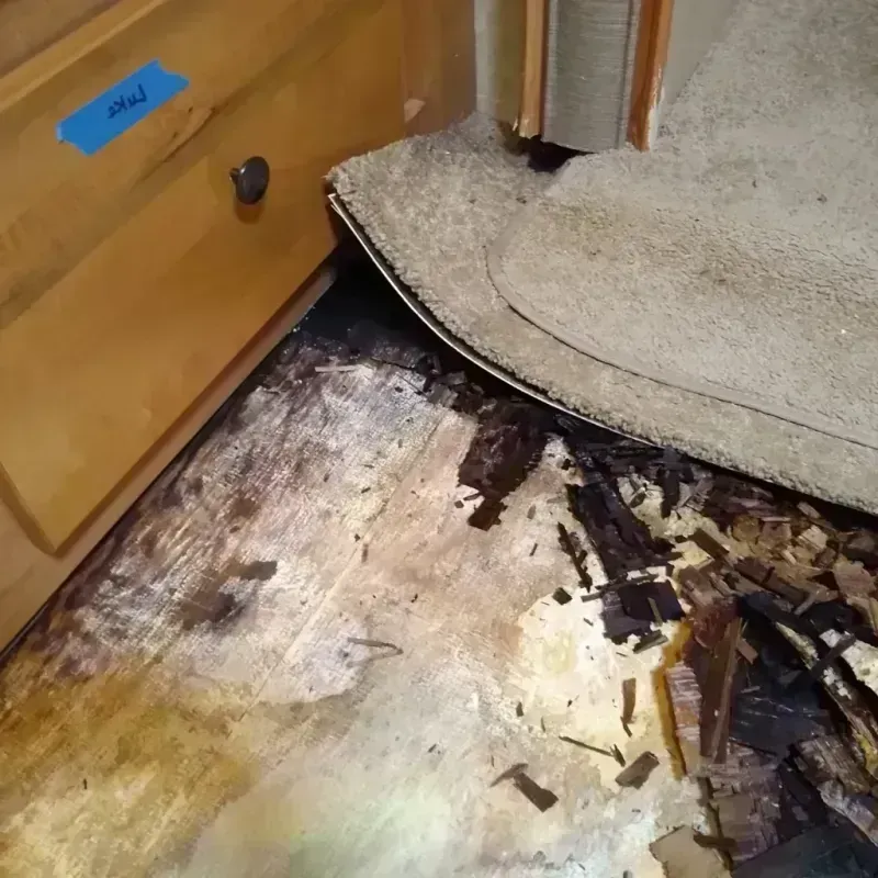 Wood Floor Water Damage in Itasca, IL